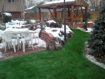 Artificial Grass Photos: Synthetic Pet Turf Lennox California Landscape